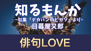 2022年4月1日「知るもんか~句集『デカパンのピカソ』より~／日暮屋又郎」 俳句LOVE