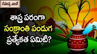 శాస్త్రపరంగా సంక్రాంతి పండుగ ప్రత్యేకత ఏంటి? - రహస్యవాణి