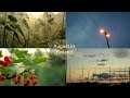 Life in Finland 🌾🌾 August Harvest Season in the Countryside and the City