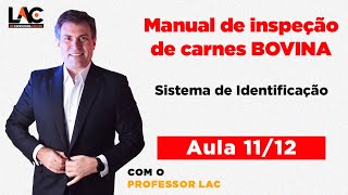Aula 11: Manual de Inspeção - Sistema de Identificação | Luiz Antônio de Carvalho