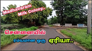 சென்னையின் அழகான இடம் - Madhavaram Milk Colony - Beautiful place in Chennai