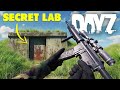 We Discovered The Most Popular DayZ Server...