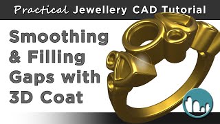 Practical Jewellery CAD Tutorial: Filling and smoothing gaps with 3D Coat