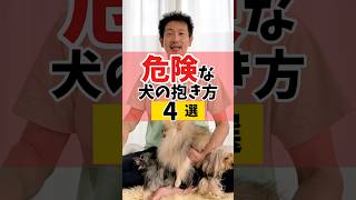 危険な犬の抱き方4選#犬のしつけ #dog #犬のいる暮らし