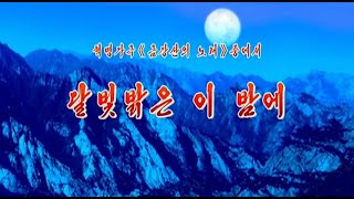 【朝鮮音楽】달빛맑은 이 밤에 (月明かりの輝くこの夜に) DPRK Music