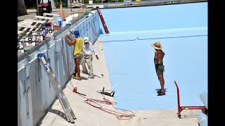 Sarasota Sharks Swimming - Shark Tank 2019 Liner Replacement