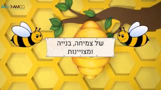 ברכת שנה טובה מ-AVIV AMCG