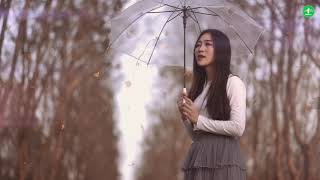 ႁူိဝ်ၸၢင်ႈလိုမ်း Homnoon Mj ฮือจางลืม Song  NEW Song