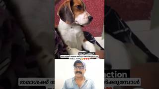 വഴക്ക് പറയുമ്പോൾ അവന്റെ സങ്കടം 😥❤️ #shorts #viralvideo #reaction #dog #youtubeshorts #ytshorts