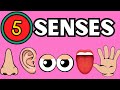 Learn the 5 👃👅👀👋👂senses and the organs that represent them  #colorfullearning #5senses