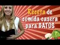 Receta de comida casera para gatos