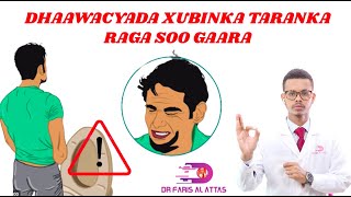 DHAAWACYADA XUBINKA TARANKA RAGA SOO GAARO. Dr faris