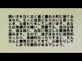 大人の心理テスト201深層心理丸見え！？合コンや暇つぶしにも♩