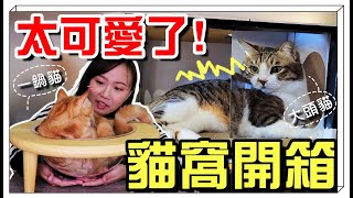 【魚乾】用貓窩把貓咪放大？這樣會不會太貴？