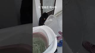 딱6초만요