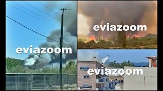 EviaZoom.gr - Για την Φωτιά στην Αρτάκη: Συνέλαβαν 40χρονο Χαλκιδέο για εμπρησμό από αμέλεια...