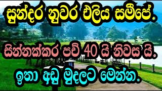 නුවර එළියෙන් සින්නක්කර පච් 40 ක් හා නිවාස ඉතා අඩු මුදලට මෙන්නNuwara eliya.idam/walimada idam/podima