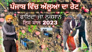 Alo da rate in punjab l potato price l potato rate in punjab l allu da rate l ਪਟ ਤੇ aloo ਦੇਖੋRATE🥔