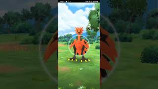 【PokémonGO】絶望的CP・・・・　だが!!?【ブルックGO】 #shorts #ポケモンgo #pokemongo #ブルックGO #ポケモンgoガラル3鳥色違い