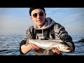 HOW TO CATCH BALTIC SEATROUT ON THE FLY - Epic Winter Fly Fishing (2020)