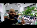 red devil angelfish aquarium epic 4ft aquascape tutorial