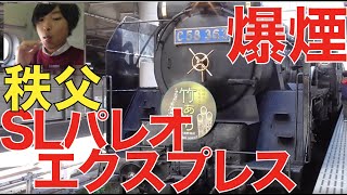 【全車自由席!!??】秩父鉄道の「SLパレオエクスプレス」に全区間乗車！