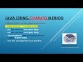 java string charat example | java program to print even characters in a string #javaforbeginners