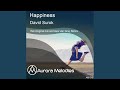 Happiness (Alex Van Gray Remix)