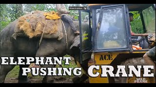 #wildframe | Power of elephant abhimanyu | Sakleshpur wild elephant