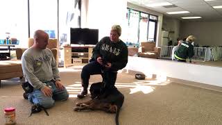 Muzzle Conditioning Step 2 with Smart Dog School