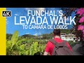 Funchal To Camara De Lobos Levada, Madeira - Guided Walking Tour