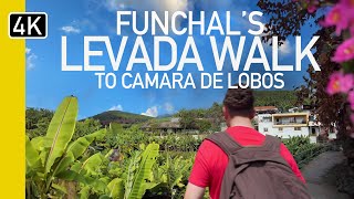 Funchal To Camara De Lobos By Levada - Madeira Guided Walk