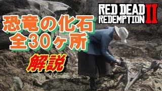 【RDR2】恐竜の化石全30ヶ所の場所【恐竜の化石】【化石】【恐竜】【レッドデッドリデンプション2】