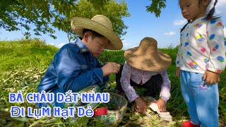 [328]Bà Cháu Dắt Nhau Lên Đồi Lụm Hạt Dẻ_China Country Life 🇨🇳.