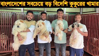 বাংলাদেশের সবচেয়ে বড় বিদেশি কুকুরের বানিজ্যিক খামার। ১ টি কুকুরের দাম ৬ লাখ টাকা