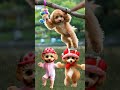 holding toy poodle【トイプードルを握る】 shorts