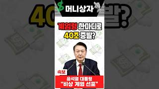 3시간 계엄령이 만든 혼돈의 경제 카오스