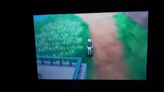 Shiny PARAS 56 SOS Pokemon USUM 46/807