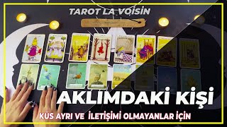 Aklımdaki Kişi Küs/Ayrı/İletişim Olmayanlar İçin | Tarot Yorumu