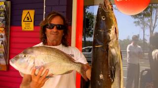 Catch Gallery: 20Kg Cobia from Point Cartwright 18/01/2013