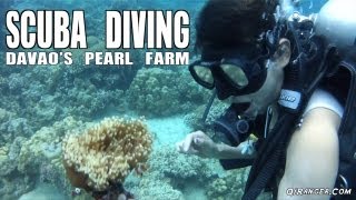 SCUBA Dive Davao's AMAZING Peal Farm!