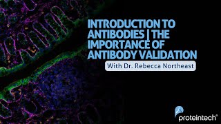 Introduction to Antibodies | The Importance of Antibody Validation