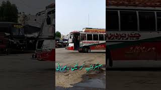 Buses of Haider groop|Shakkar garh to Faisal abad #youtubeshorts #shorts #viral