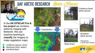 Studying Boreal Wildfire Using Remote Sensing from Air and Space