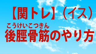 【関トレ】後脛骨筋のやり方（イス）