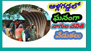 ఆళ్లగడ్డలో ఘనంగా నాగుల చవితి వేడుకలు#nagulachavithi#allagaddasivalayam#palasagaram#nagulakatta