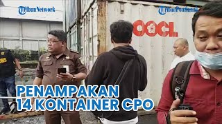 14 Kontainer CPO yang Hendak Diselundupkan ke Cina