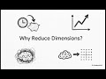 Dimensionality Reduction
