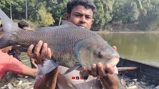 জেলেরা জাল টেনে মাছ ধরেছে এবং কি কি মাছ পেয়েছে দেখুন এই ভিডিওতে | #shorts #content #vlog #fishing