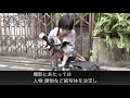 報道カメラマン 職業情報提供サイト 日本版o net 職業紹介動画